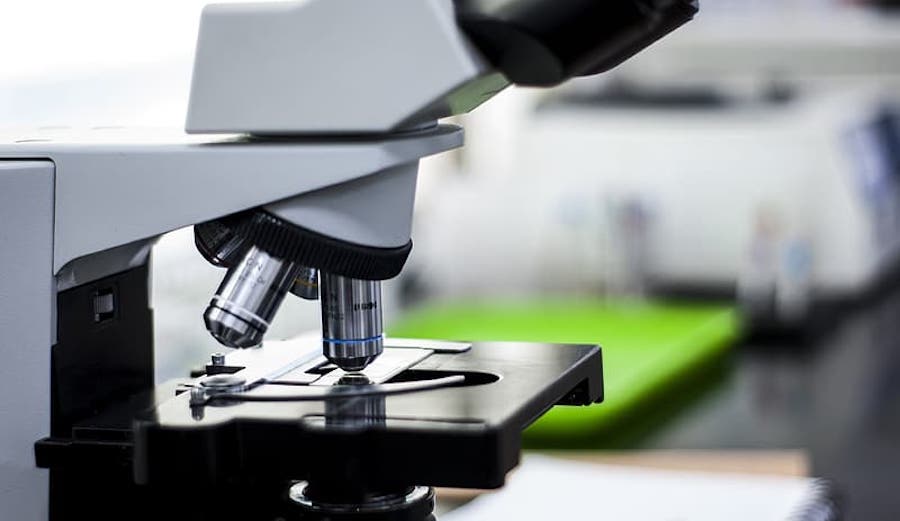 Iron-storing bacteria may be used to mine gold, copper