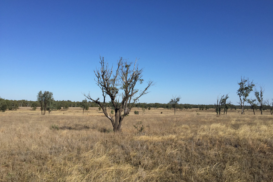 Glencore coal mine faces threat as fund refuses backing