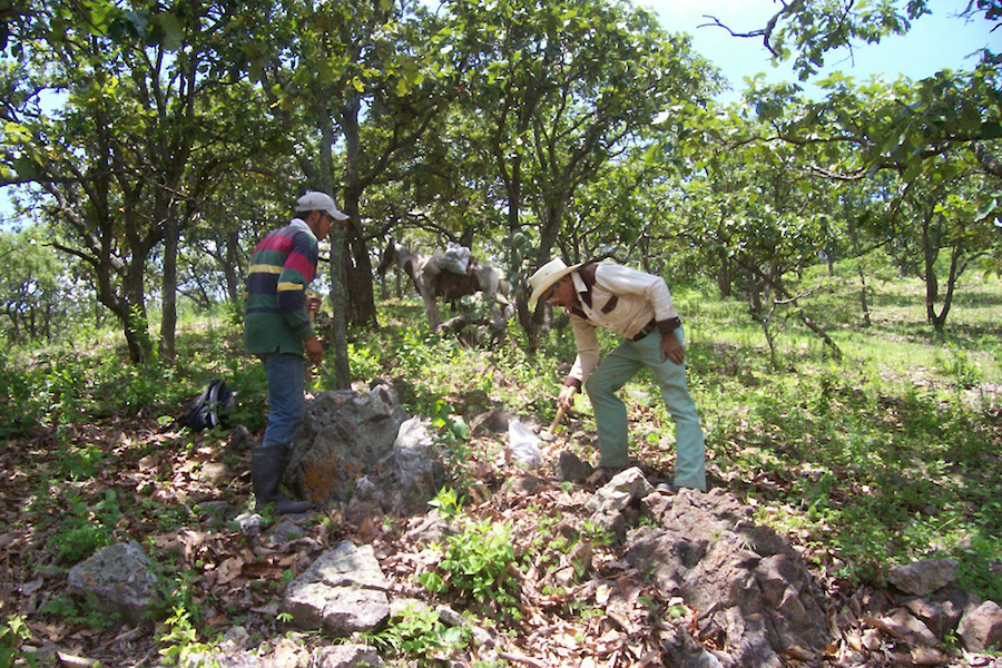 First Majestic Silver to sell Mexico's assets to Apollo