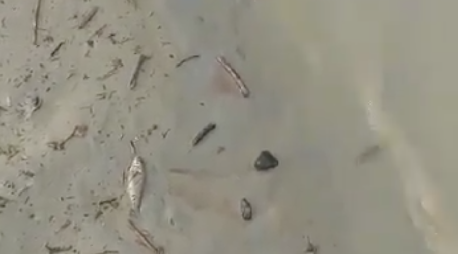 Ecuador reports tailings dam breach in Azuay province