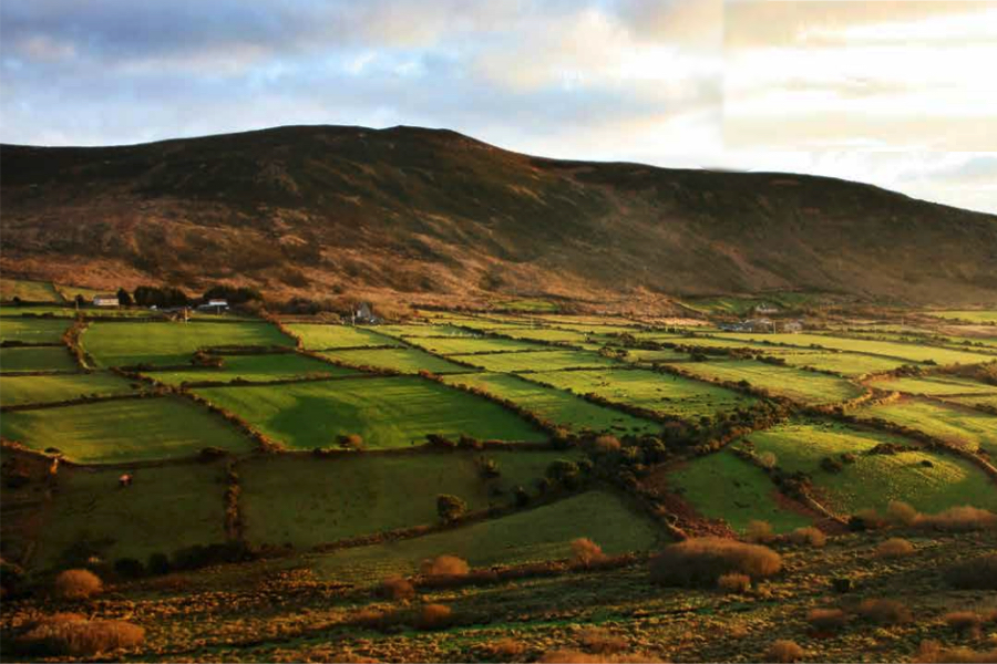 Anglo Asian to tap into Ireland riches after deal with Conroy