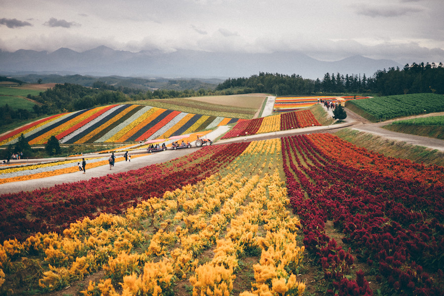 Barrick, Japan Gold expand exploration work