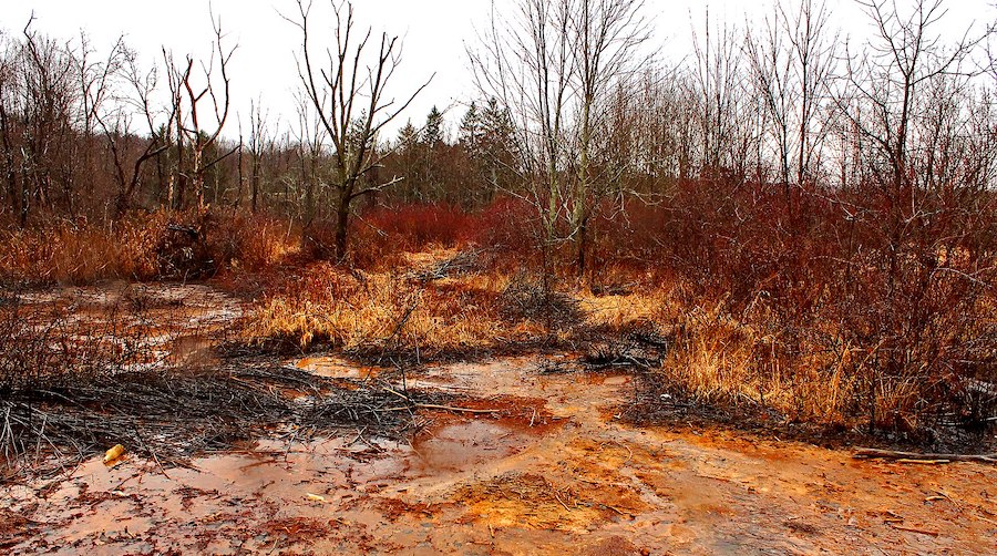 Scientists find efficient way to extract REE from acid mine drainage