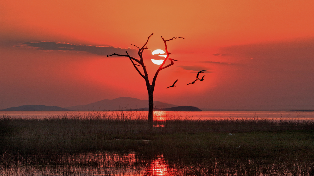 Zimbabwe allows miners, exporters to keep more forex from exports