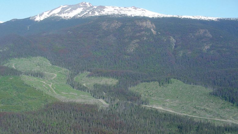 FPX Nickel tests potential carbon neutral operation at Baptiste