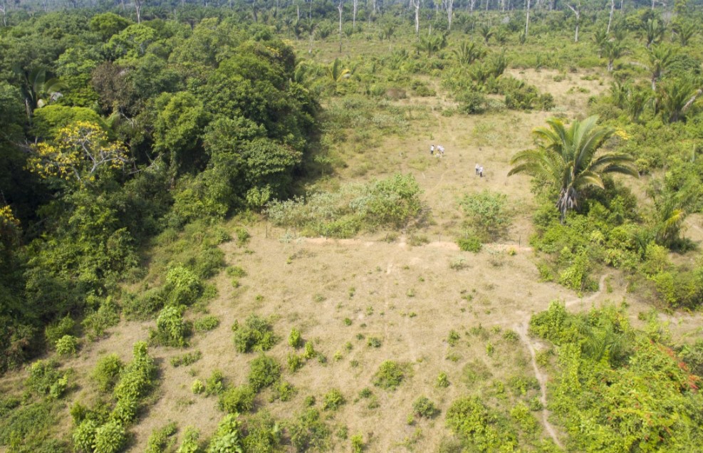 Canadian firm lobbies Brazil for Amazon potash mine permit