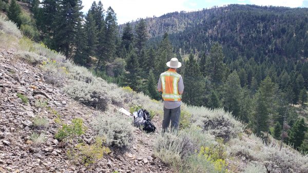 Gaia samples high grades at Freeman Creek gold project in Idaho