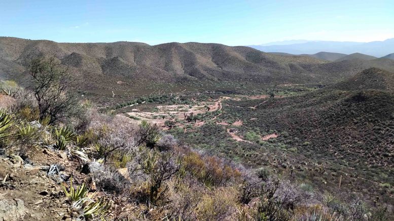 Minera Alamos tables initial resource for Cerro de Oro
