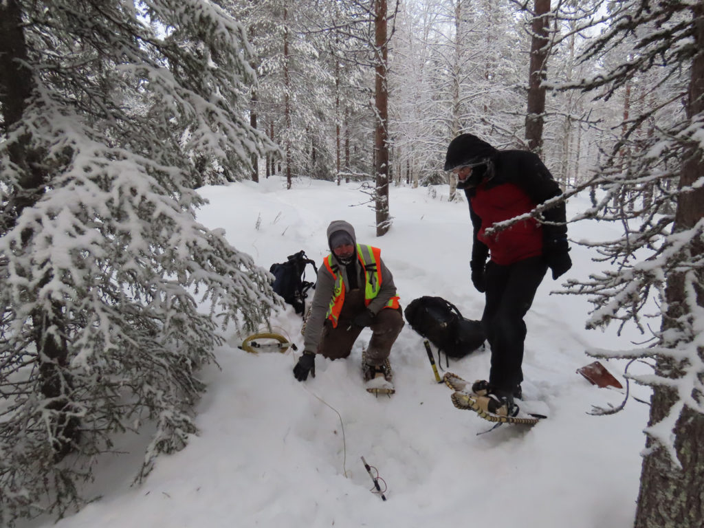 Palladium One aims for first resource at Kaukua South discovery in Finland