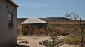 People by Broken Hill mine in Zambia show high blood levels of lead, cadmium