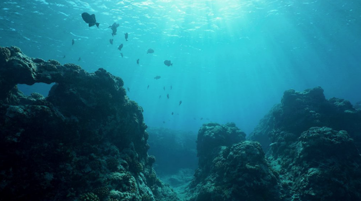 Deep-sea mineral platform launches for mining dialogue