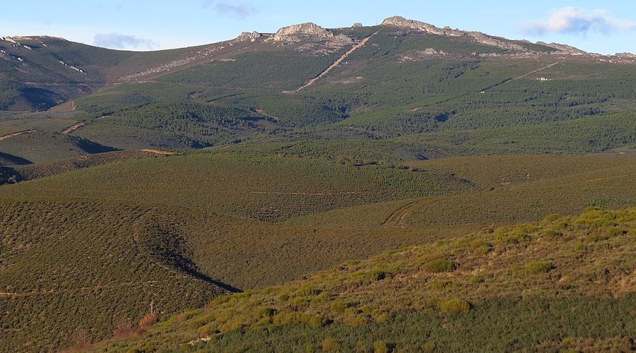 Over 100 Spanish, Portuguese artists publish book against Almonty’s Valtreixal project