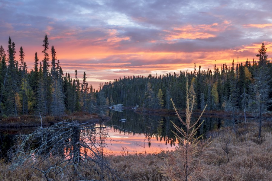 Alamos Gold doubles Ontario footprint with Trillium buy