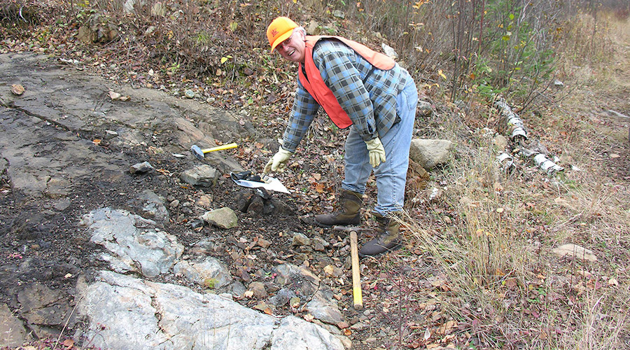 ALX to acquire Electra nickel project in Ontario