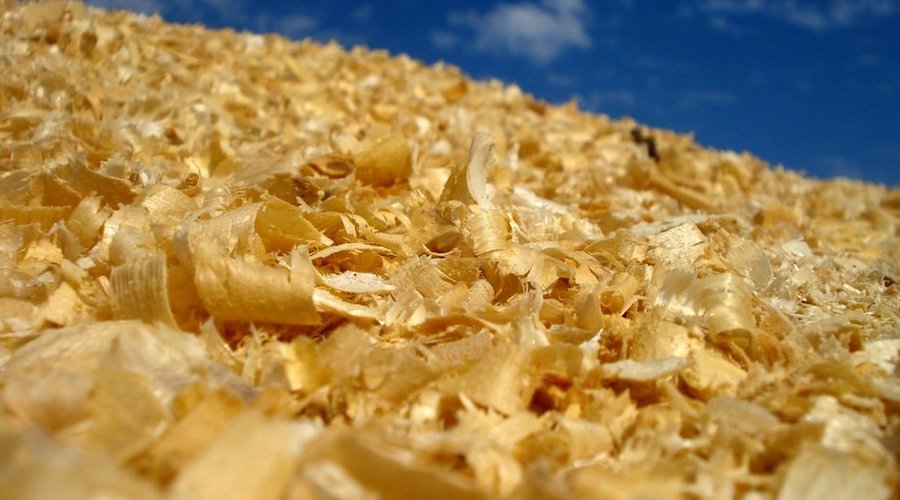 Expander Energy, Vanderwell get key permit to build Canada's first biomass-gas-to-liquids plant