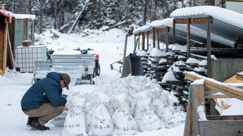 Trillium reports more high-grades results from Newman Todd, shares up