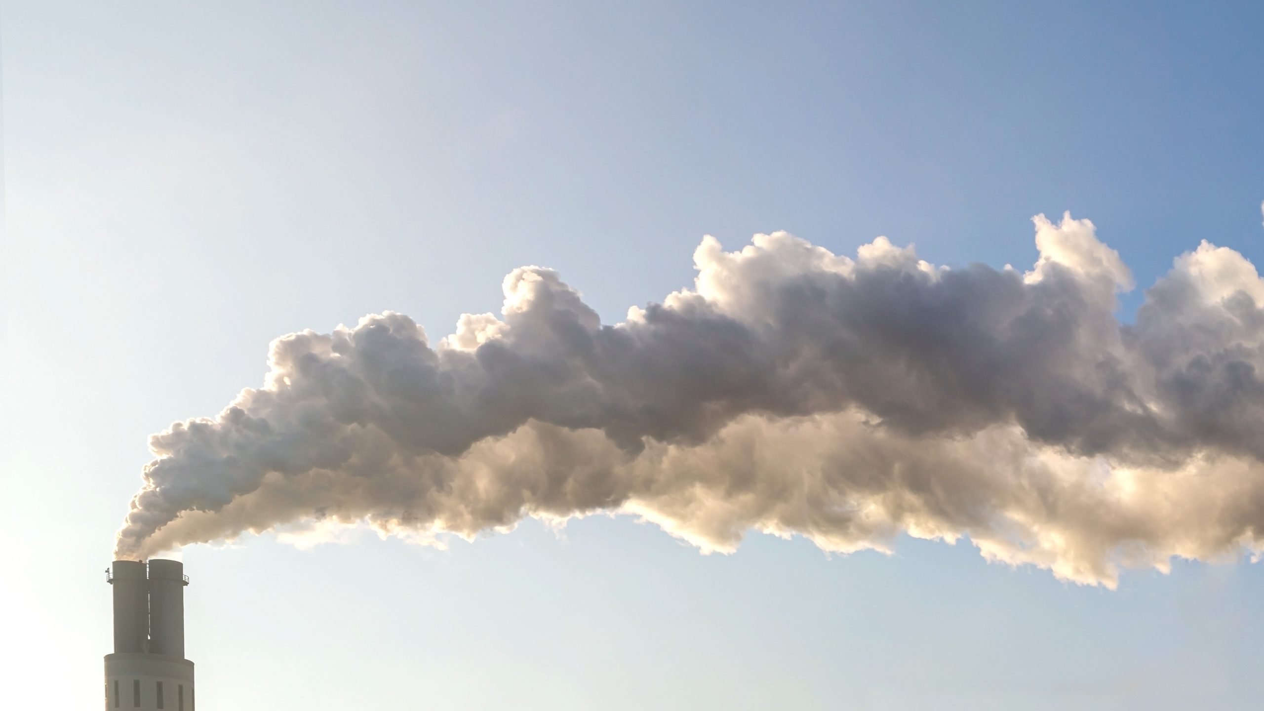 Decarbonization 101: What carbon emissions are part of your footprint?