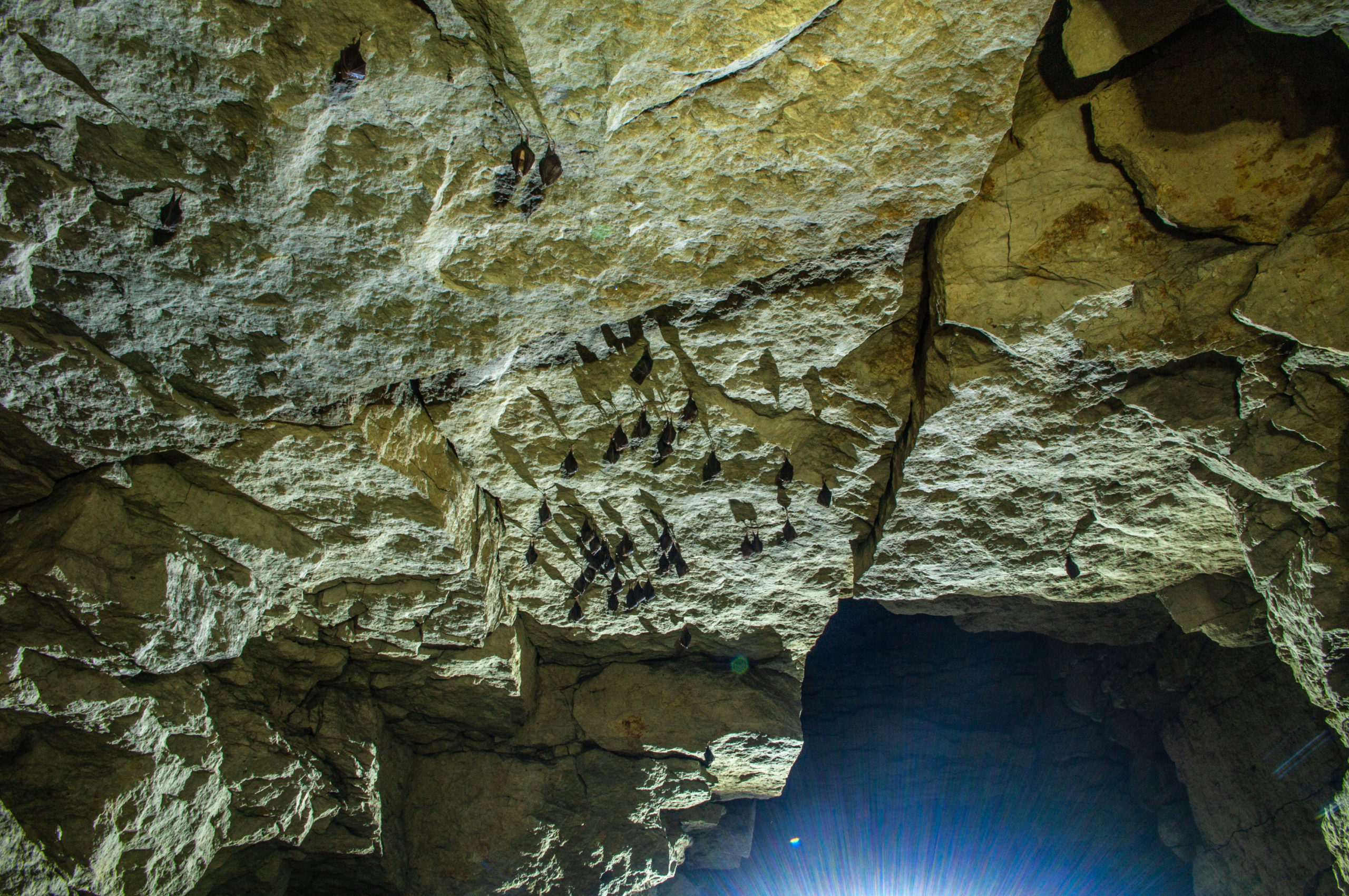 Could covid-19 have originated in a copper mine?