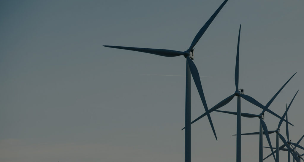 Coal-loving Australia rejects green hub on environment risks