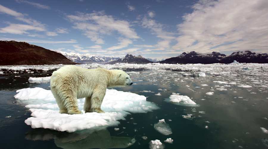Climate scientists begin key report as G20 failed to reach phase-out coal deal