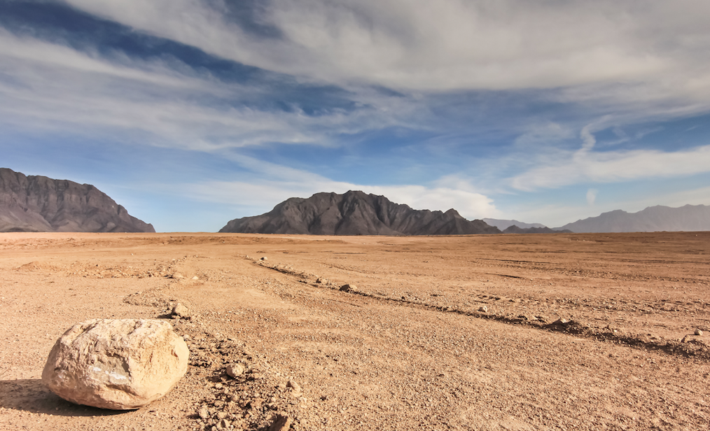 Taliban open for Russia to tap Afghanistan's natural resources – reports