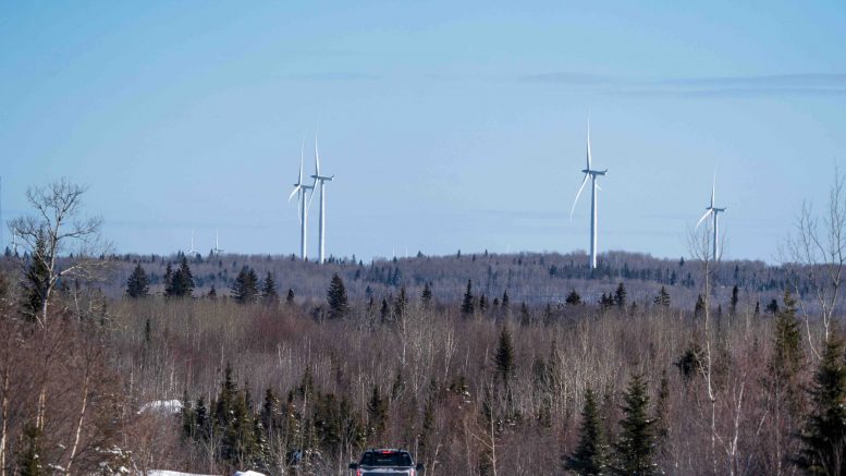 Clean Air Metals reports PGM grades from Thunder Bay North project