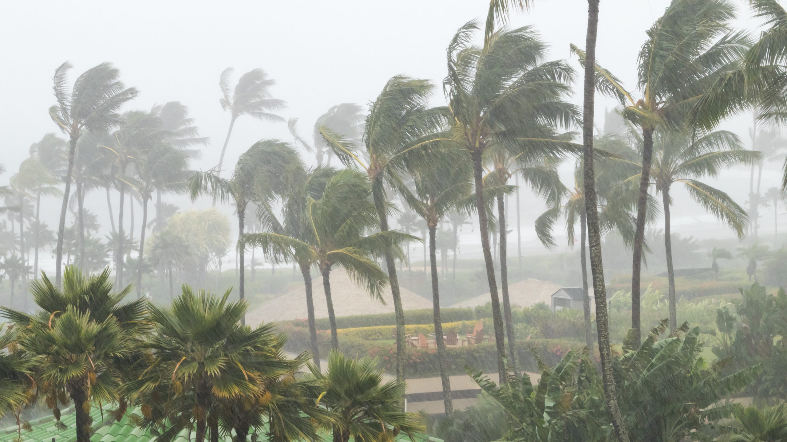‘Extremely dangerous’ hurricane Ida knocks out more oil than Katrina