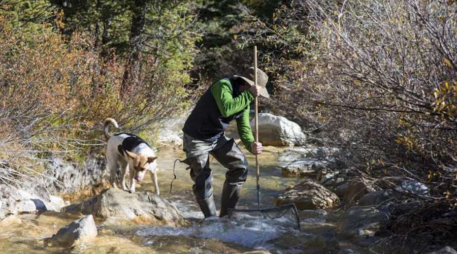 Rare earths make their way to Colorado’s waterways