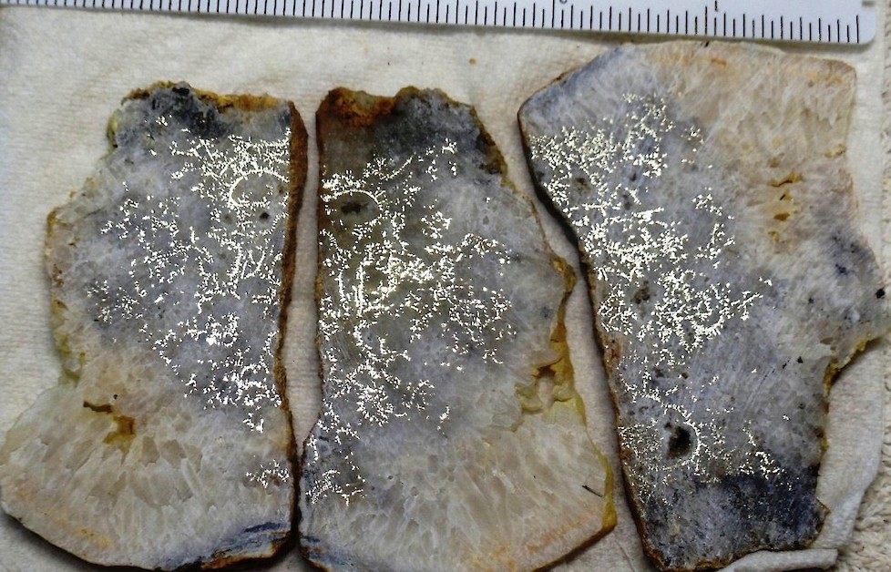 American Pacific shares surge on ‘bonanza’ grabs from an expanded Tuscarora