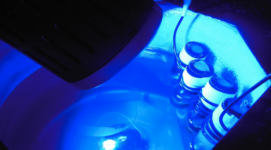 LEDs combined with copper may be key to developing new medicines, electronics