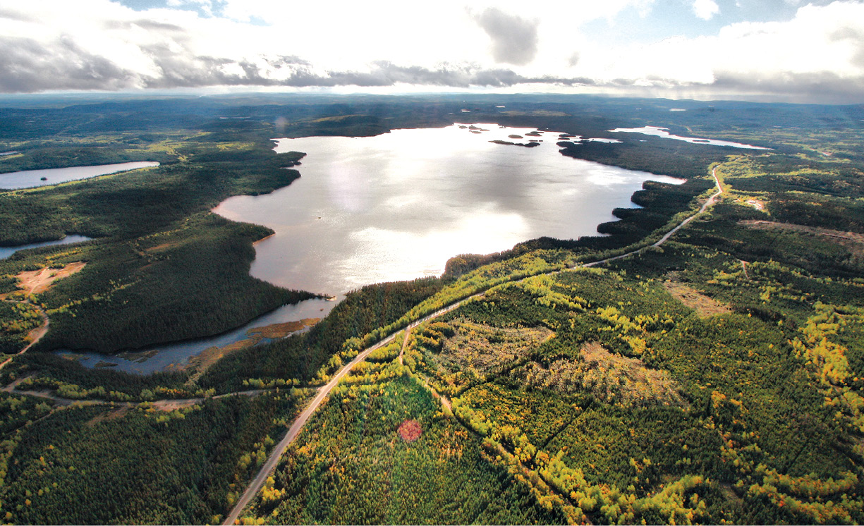 Canadian Exploration Snapshot: Seven juniors exploring the country