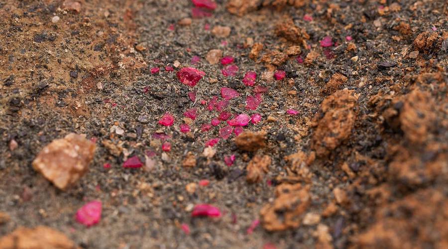 International trade data on emerald, ruby supply skewed - report