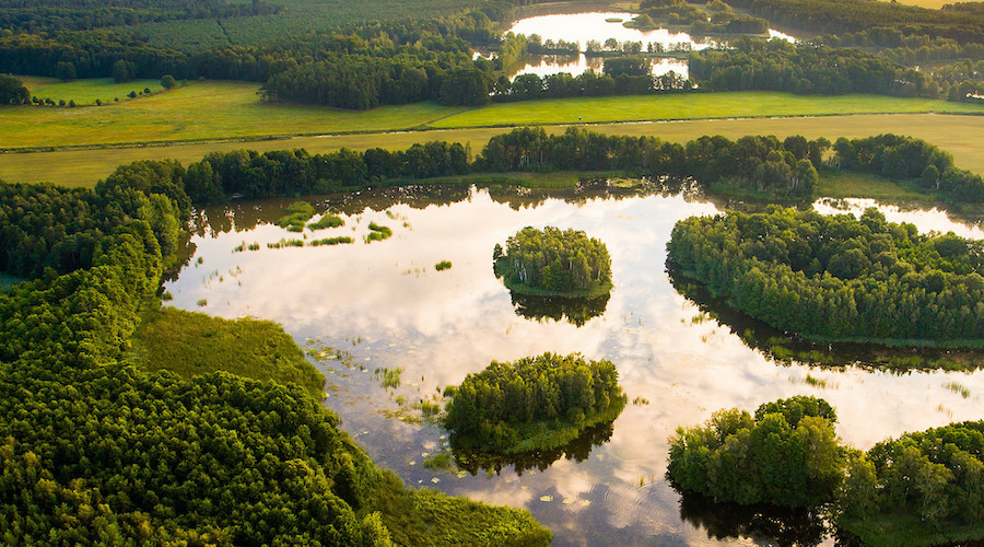 Rewetting peatlands can help clean up acid mine drainage