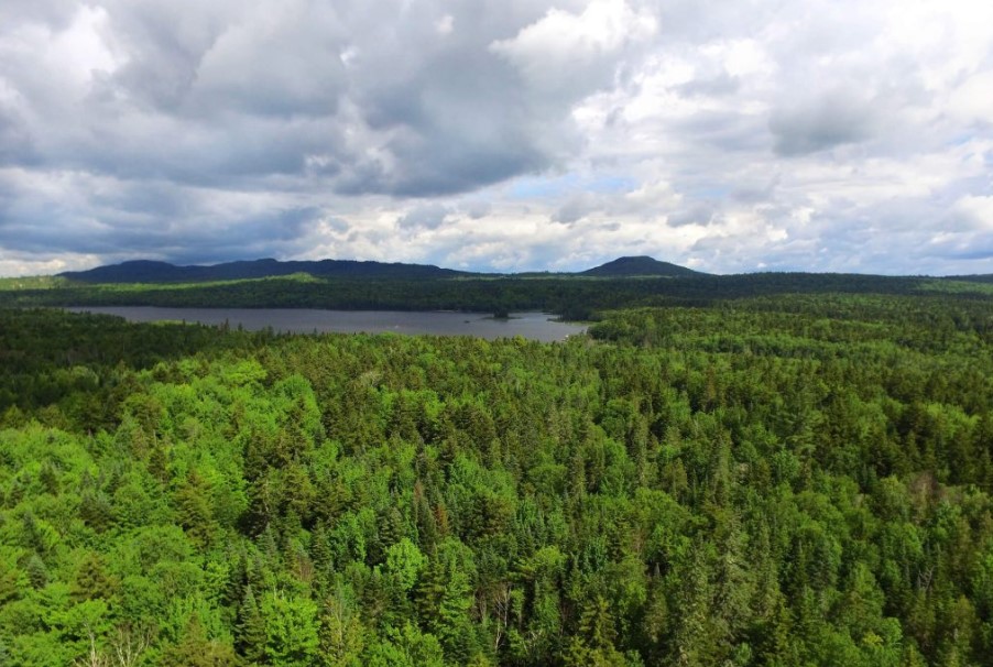 Wolfden hits 173.3 g/t AgEq over 50 metres at Big Silver in Maine