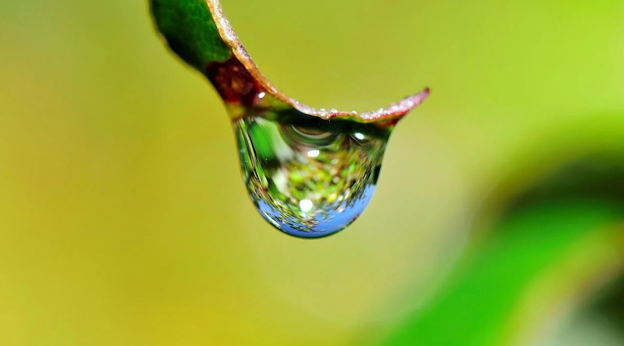 Copper may help reduce the use of antibiotics in crops