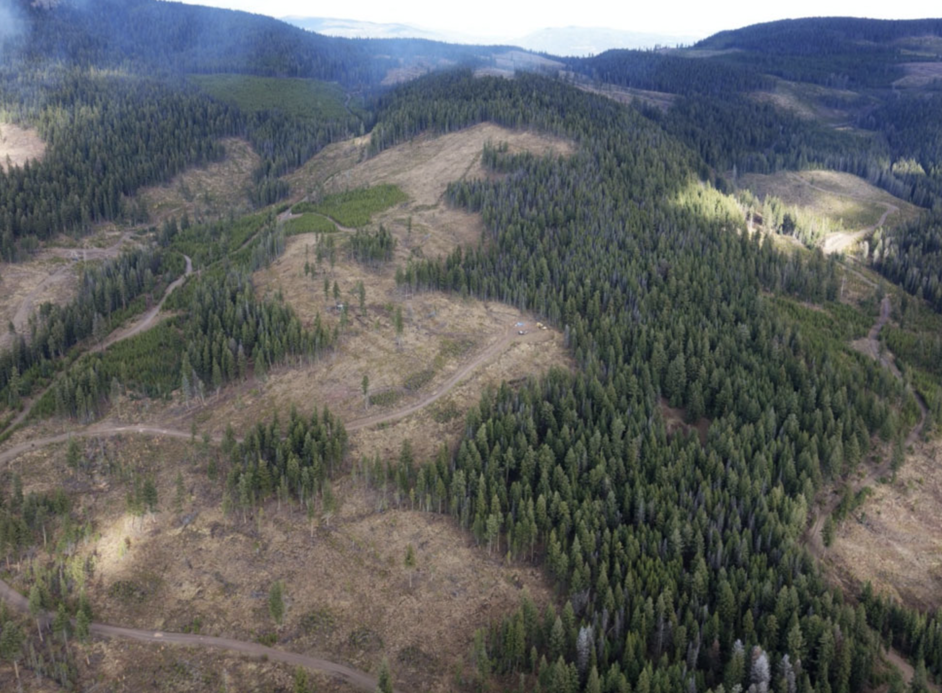 Westhaven drills highest ever gold-silver intercept at Shovelnose