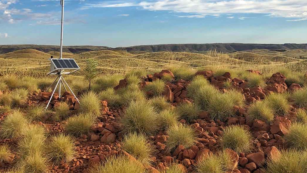 Commodities risk lurking in ESG funds now too big to ignore