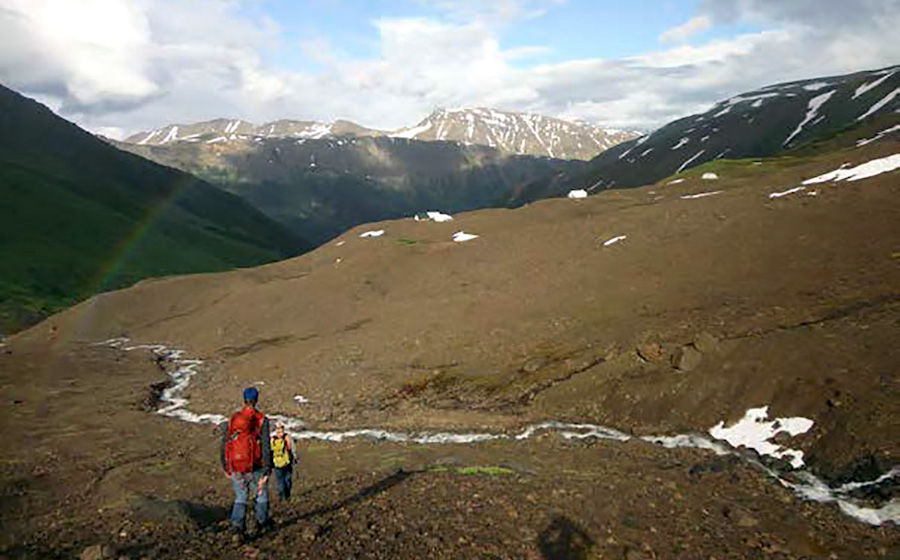 Equinox and Sandstorm create news royalty company