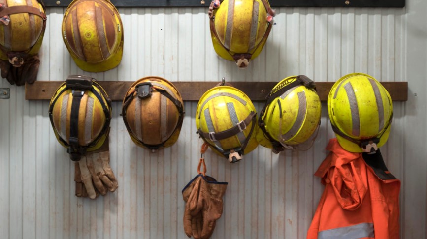 Mining People: Discovery Silver, GoldMining, Mountain Province, NioCorp