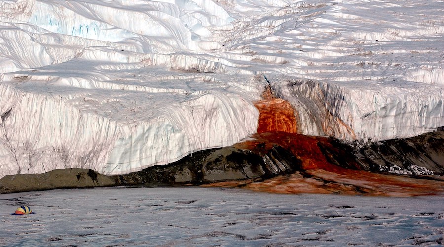 Minerals from Antarctica give clues to potentially habitable locations on Mars