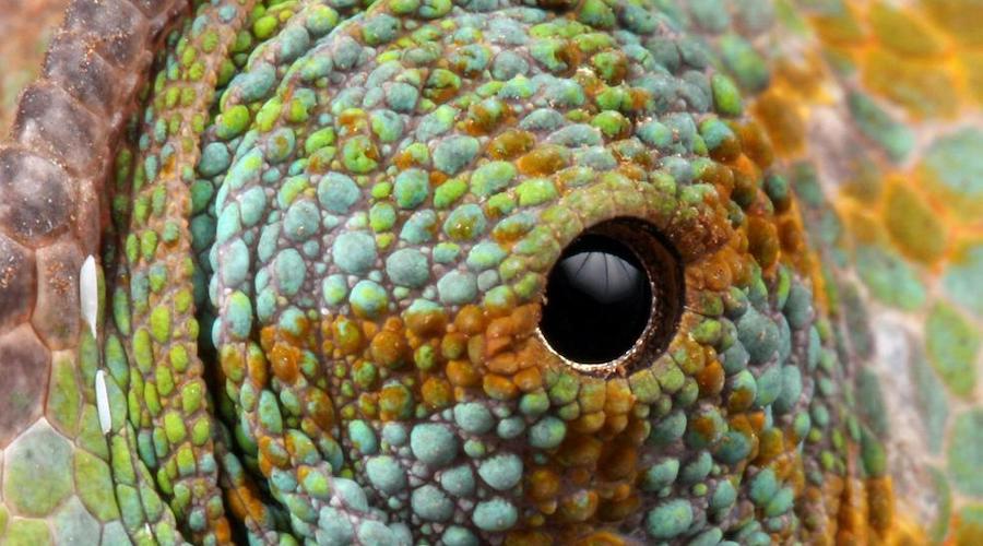 New device allows for production of chameleon metal