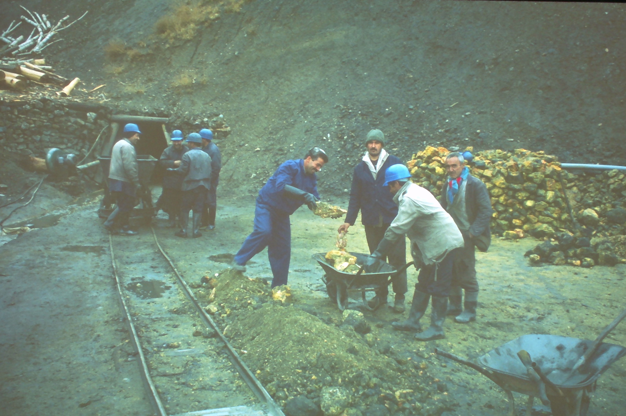 Odds ‘n’ Sods: Lies, damn lies, and visual estimates 