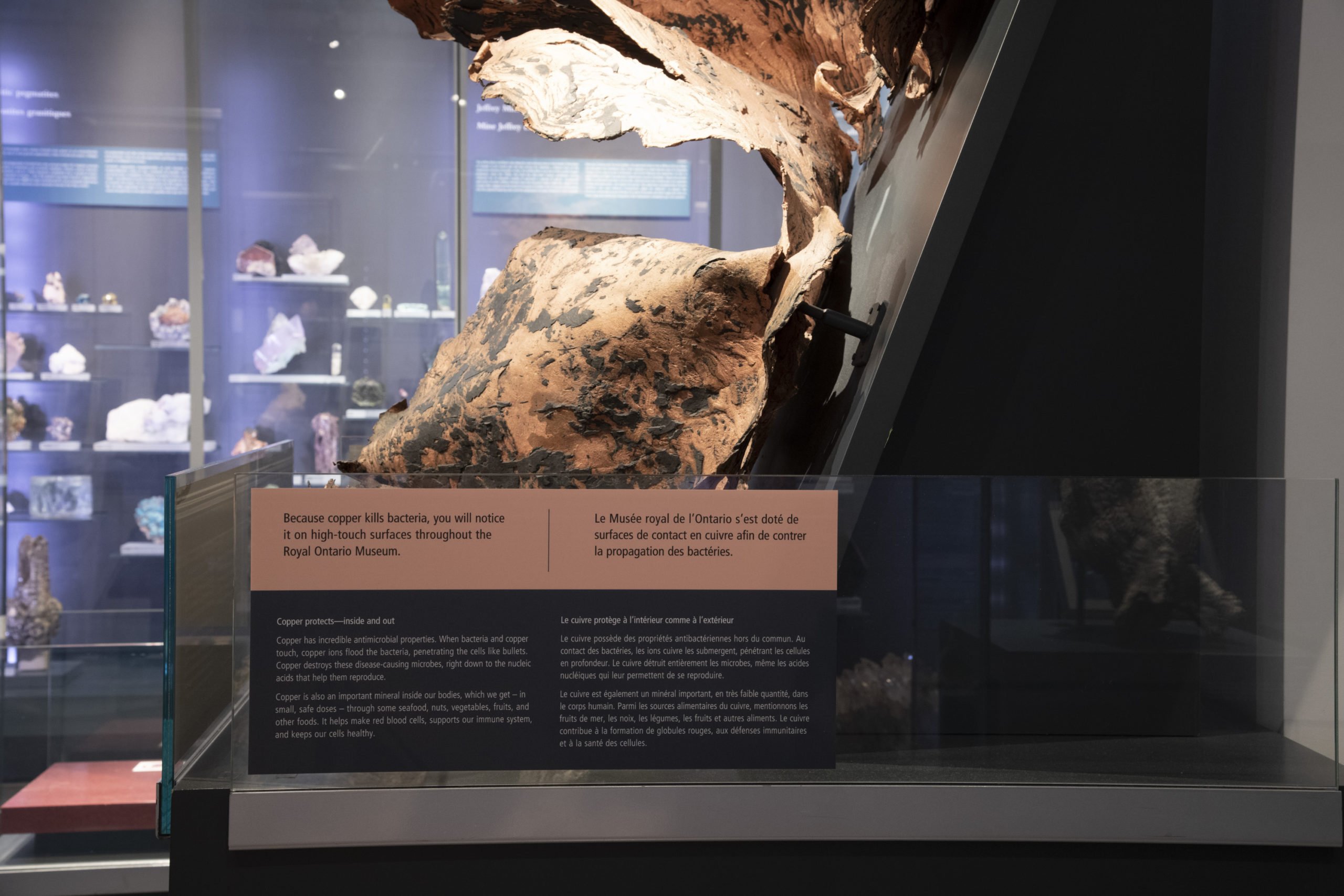 Teck, Royal Ontario Museum partner to showcase copper’s antimicrobial properties