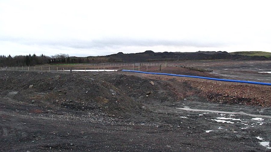 Compounds that promote vegetation diversity key to ecological restoration in open-pit coal mine dumps