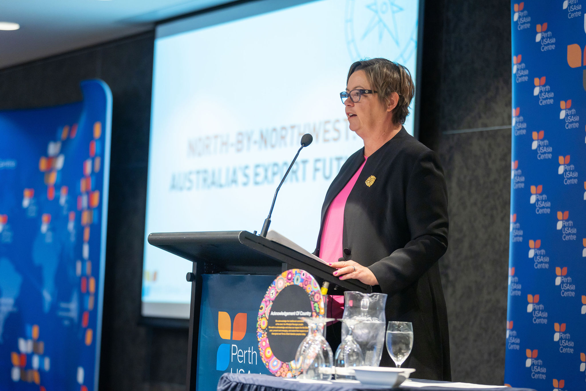 Australia wants to compete with China on critical minerals, Minister King says