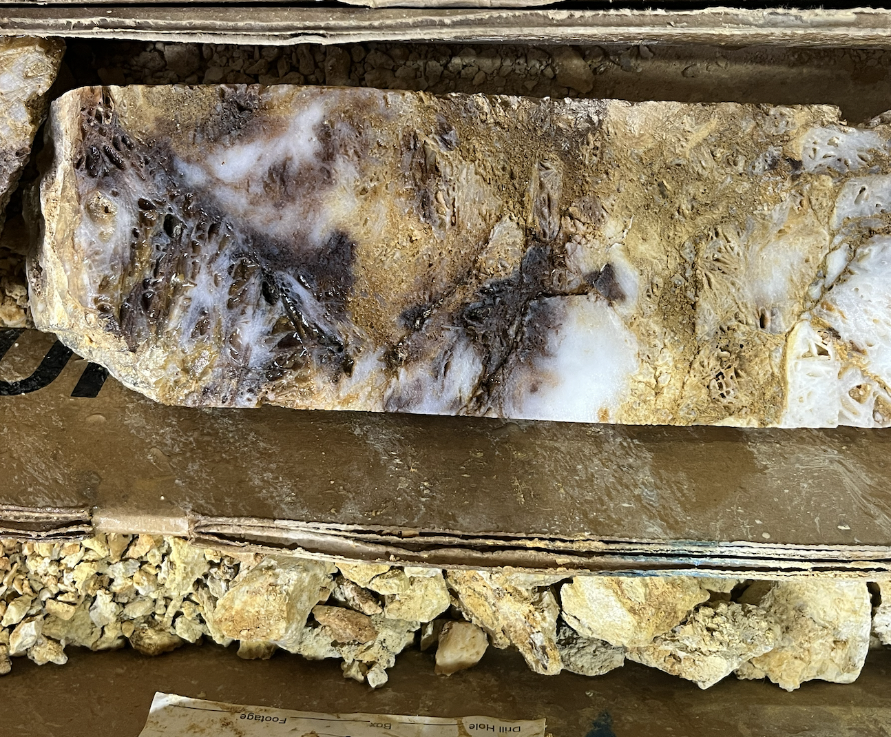 Drill core from DeLamar project (Image: Amanda Stutt)