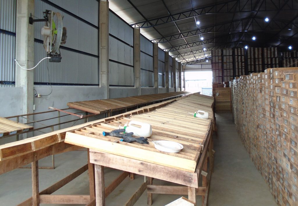 Aura Minerals advances Matupá gold project in Brazil closer to production with FS release