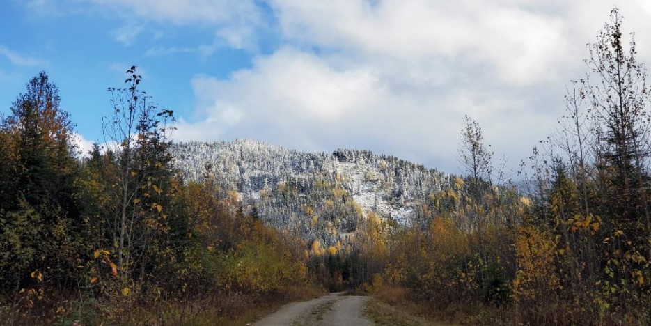 Defense Metals drills 221 metres of 2.14% TREO, including 3.52% at Wicheeda in British Columbia