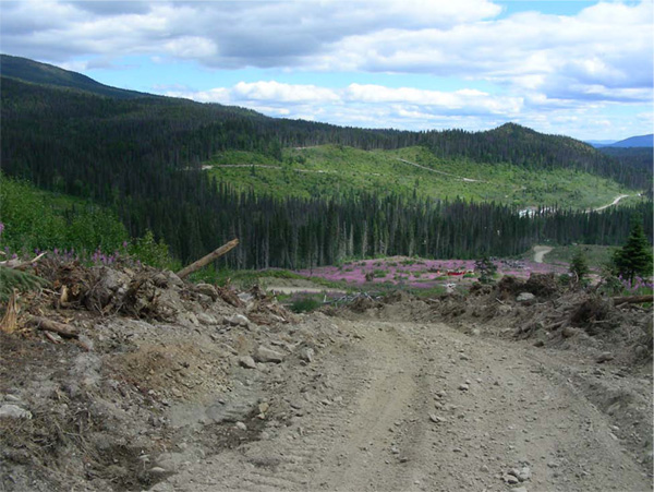 FPX Nickel raises $9m for Baptiste awaruite project development in British Columbia