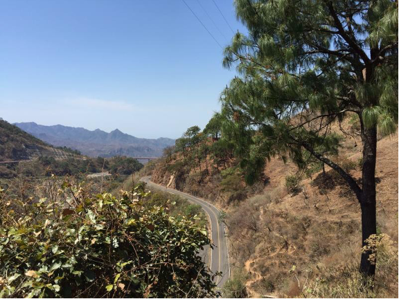 Vizsla Silver to invest in Prismo Metals, gets first refusal on Palos Verdes project